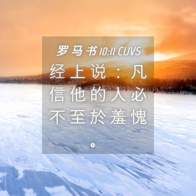 Picture 04 - 罗 马 书 10:11 CUVS - 经 上 说 ： 凡 信 他 的 人 必 不 至 - Bible Verse Picture