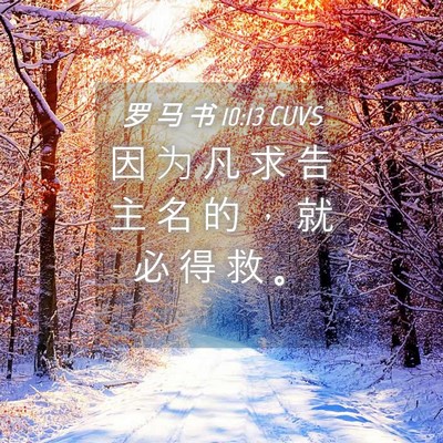 Picture 04 - 罗 马 书 10:13 CUVS - 因 为 凡 求 告 主 名 的 ， 就 必 得 - Bible Verse Picture