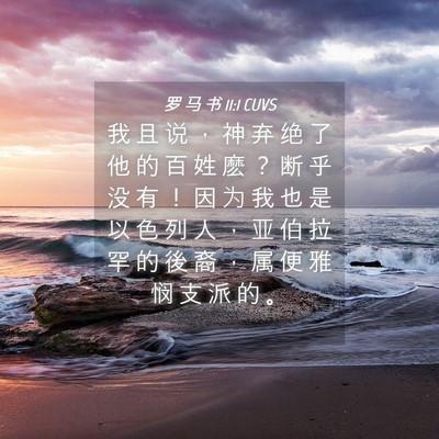 Picture 04 - 罗 马 书 11:1 CUVS - 我 且 说 ， 神 弃 绝 了 他 的 百 姓 - Bible Verse Picture