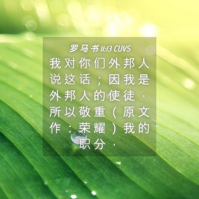Picture 04 - 罗 马 书 11:13 CUVS - 我 对 你 们 外 邦 人 说 这 话 ； 因 - Bible Verse Picture