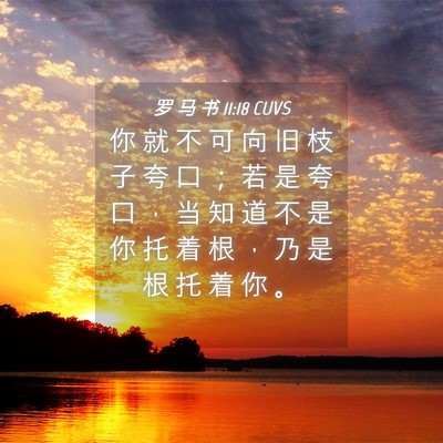 Picture 04 - 罗 马 书 11:18 CUVS - 你 就 不 可 向 旧 枝 子 夸 口 ； 若 - Bible Verse Picture