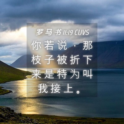 Picture 04 - 罗 马 书 11:19 CUVS - 你 若 说 ， 那 枝 子 被 折 下 来 是 - Bible Verse Picture