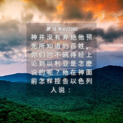 Picture 04 - 罗 马 书 11:2 CUVS - 神 并 没 有 弃 绝 他 预 先 所 知 道 - Bible Verse Picture