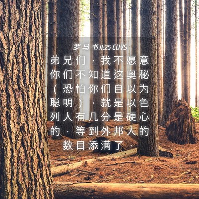 Picture 04 - 罗 马 书 11:25 CUVS - 弟 兄 们 ， 我 不 愿 意 你 们 不 知 - Bible Verse Picture