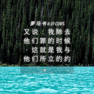 Picture 04 - 罗 马 书 11:27 CUVS - 又 说 ： 我 除 去 他 们 罪 的 时 候 - Bible Verse Picture