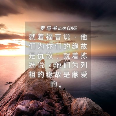 Picture 04 - 罗 马 书 11:28 CUVS - 就 着 福 音 说 ， 他 们 为 你 们 的 - Bible Verse Picture