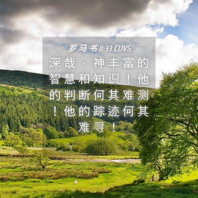 Picture 04 - 罗 马 书 11:33 CUVS - 深 哉 ， 神 丰 富 的 智 慧 和 知 识 - Bible Verse Picture