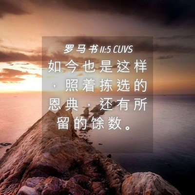 Picture 04 - 罗 马 书 11:5 CUVS - 如 今 也 是 这 样 ， 照 着 拣 选 的 - Bible Verse Picture