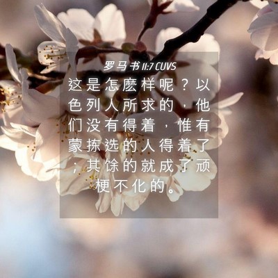 Picture 04 - 罗 马 书 11:7 CUVS - 这 是 怎 麽 样 呢 ？ 以 色 列 人 所 - Bible Verse Picture