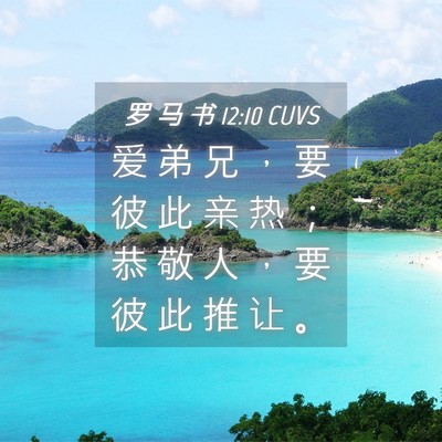 Picture 04 - 罗 马 书 12:10 CUVS - 爱 弟 兄 ， 要 彼 此 亲 热 ； 恭 敬 - Bible Verse Picture