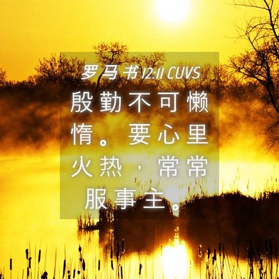 Picture 04 - 罗 马 书 12:11 CUVS - 殷 勤 不 可 懒 惰 。 要 心 里 火 热 - Bible Verse Picture