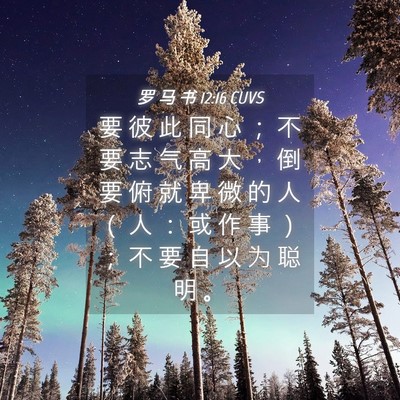 Picture 04 - 罗 马 书 12:16 CUVS - 要 彼 此 同 心 ； 不 要 志 气 高 大 - Bible Verse Picture