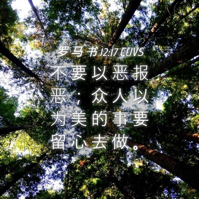 Picture 04 - 罗 马 书 12:17 CUVS - 不 要 以 恶 报 恶 ； 众 人 以 为 美 - Bible Verse Picture