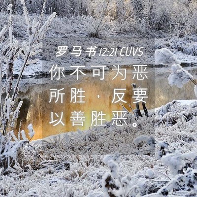 Picture 04 - 罗 马 书 12:21 CUVS - 你 不 可 为 恶 所 胜 ， 反 要 以 善 - Bible Verse Picture