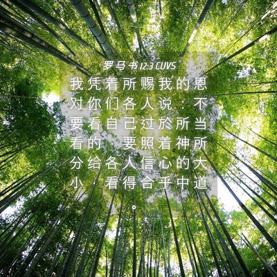 Picture 04 - 罗 马 书 12:3 CUVS - 我 凭 着 所 赐 我 的 恩 对 你 们 各 - Bible Verse Picture