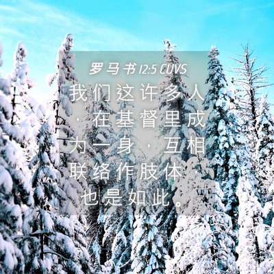 Picture 04 - 罗 马 书 12:5 CUVS - 我 们 这 许 多 人 ， 在 基 督 里 成 - Bible Verse Picture