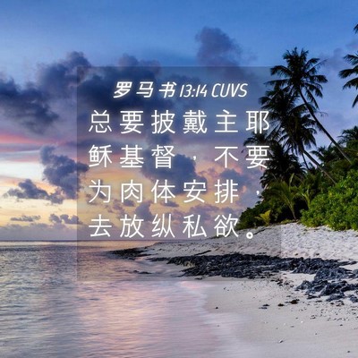 Picture 04 - 罗 马 书 13:14 CUVS - 总 要 披 戴 主 耶 稣 基 督 ， 不 要 - Bible Verse Picture