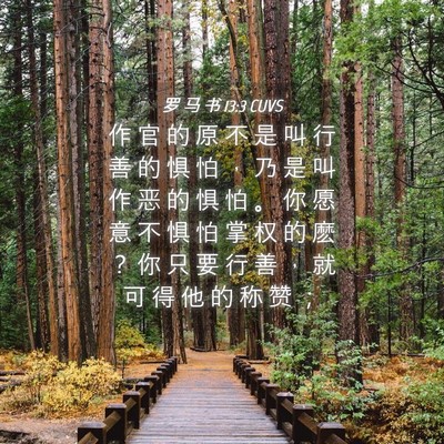 Picture 04 - 罗 马 书 13:3 CUVS - 作 官 的 原 不 是 叫 行 善 的 惧 怕 - Bible Verse Picture