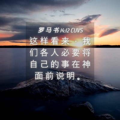 Picture 04 - 罗 马 书 14:12 CUVS - 这 样 看 来 ， 我 们 各 人 必 要 将 - Bible Verse Picture