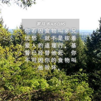 Picture 04 - 罗 马 书 14:15 CUVS - 你 若 因 食 物 叫 弟 兄 忧 愁 ， 就 - Bible Verse Picture