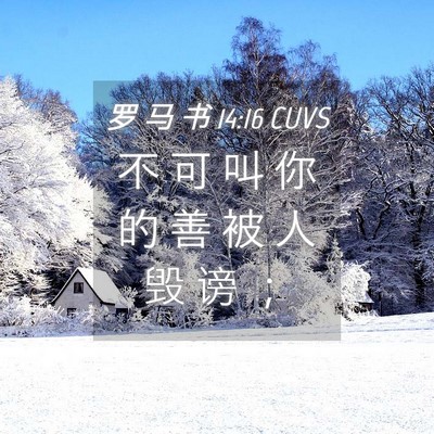 Picture 04 - 罗 马 书 14:16 CUVS - 不 可 叫 你 的 善 被 人 毁 谤 - Bible Verse Picture