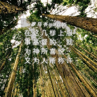 Picture 04 - 罗 马 书 14:18 CUVS - 在 这 几 样 上 服 事 基 督 的 ， 就 - Bible Verse Picture