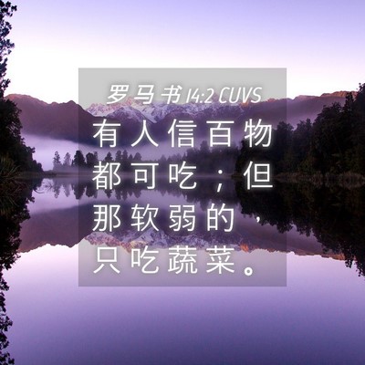 Picture 04 - 罗 马 书 14:2 CUVS - 有 人 信 百 物 都 可 吃 ； 但 那 软 - Bible Verse Picture