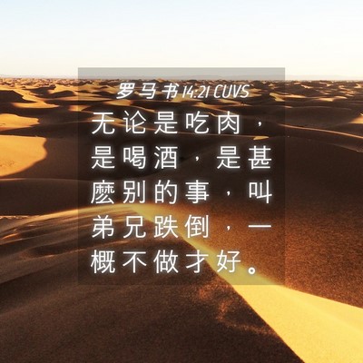 Picture 04 - 罗 马 书 14:21 CUVS - 无 论 是 吃 肉 ， 是 喝 酒 ， 是 甚 - Bible Verse Picture