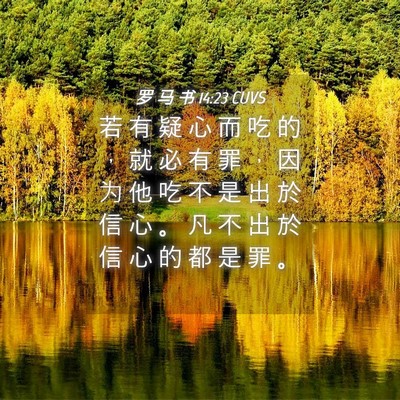 Picture 04 - 罗 马 书 14:23 CUVS - 若 有 疑 心 而 吃 的 ， 就 必 有 罪 - Bible Verse Picture