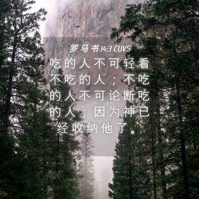 Picture 04 - 罗 马 书 14:3 CUVS - 吃 的 人 不 可 轻 看 不 吃 的 人 ； - Bible Verse Picture