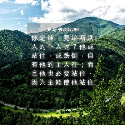 Picture 04 - 罗 马 书 14:4 CUVS - 你 是 谁 ， 竟 论 断 别 人 的 仆 人 - Bible Verse Picture