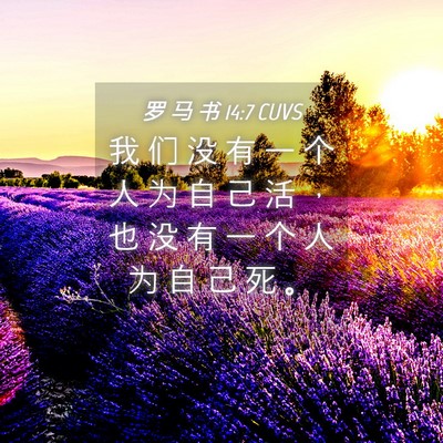 Picture 04 - 罗 马 书 14:7 CUVS - 我 们 没 有 一 个 人 为 自 己 活 ， - Bible Verse Picture