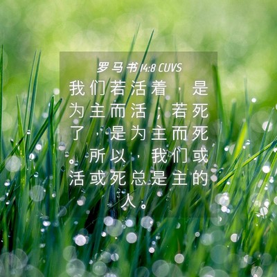 Picture 04 - 罗 马 书 14:8 CUVS - 我 们 若 活 着 ， 是 为 主 而 活 ； - Bible Verse Picture