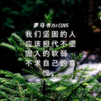 Picture 04 - 罗 马 书 15:1 CUVS - 我 们 坚 固 的 人 应 该 担 代 不 坚 - Bible Verse Picture