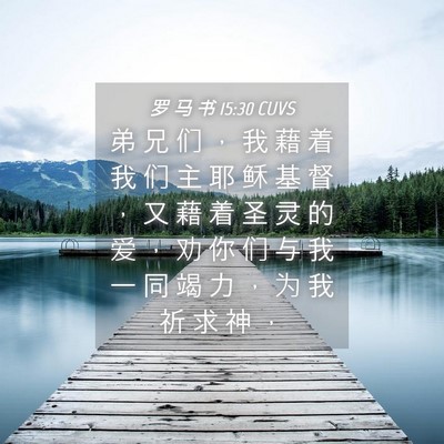 Picture 04 - 罗 马 书 15:30 CUVS - 弟 兄 们 ， 我 藉 着 我 们 主 耶 稣 - Bible Verse Picture