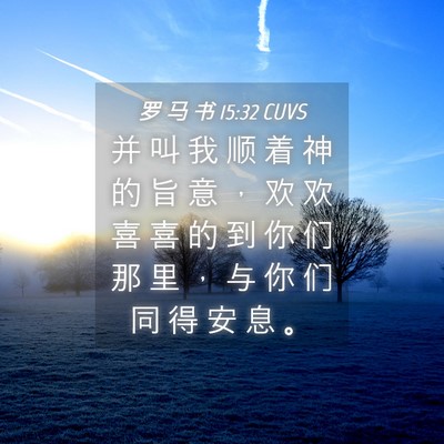 Picture 04 - 罗 马 书 15:32 CUVS - 并 叫 我 顺 着 神 的 旨 意 ， 欢 欢 - Bible Verse Picture