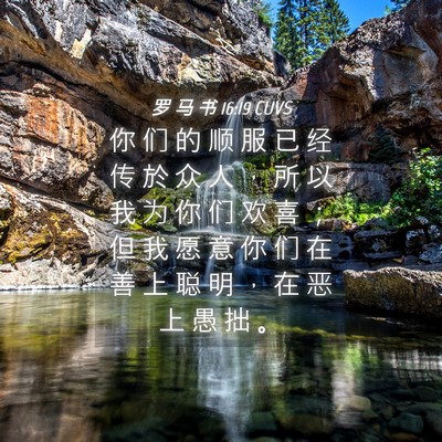 Picture 04 - 罗 马 书 16:19 CUVS - 你 们 的 顺 服 已 经 传 於 众 人 ， - Bible Verse Picture
