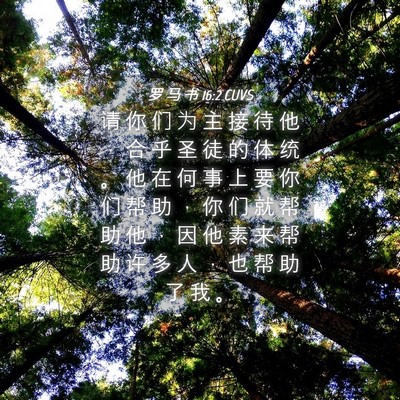Picture 04 - 罗 马 书 16:2 CUVS - 请 你 们 为 主 接 待 他 ， 合 乎 圣 - Bible Verse Picture
