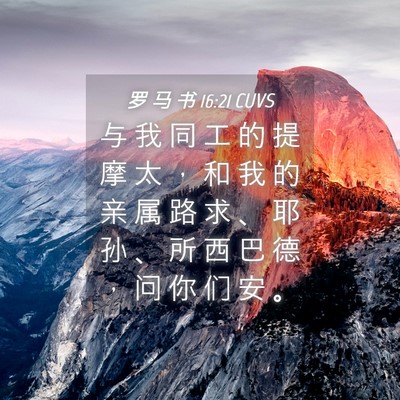 Picture 04 - 罗 马 书 16:21 CUVS - 与 我 同 工 的 提 摩 太 ， 和 我 的 - Bible Verse Picture