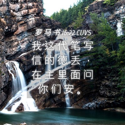 Picture 04 - 罗 马 书 16:22 CUVS - 我 这 代 笔 写 信 的 德 丢 ， 在 主 - Bible Verse Picture