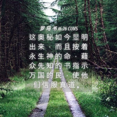 Picture 04 - 罗 马 书 16:26 CUVS - 这 奥 秘 如 今 显 明 出 来 ， 而 且 - Bible Verse Picture