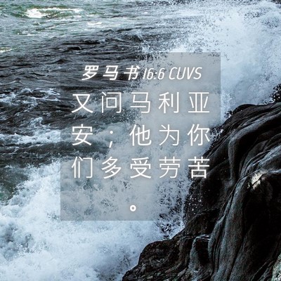 Picture 04 - 罗 马 书 16:6 CUVS - 又 问 马 利 亚 安 ； 他 为 你 们 多 - Bible Verse Picture