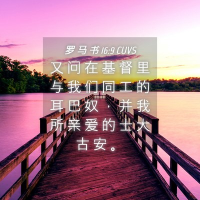 Picture 04 - 罗 马 书 16:9 CUVS - 又 问 在 基 督 里 与 我 们 同 工 的 - Bible Verse Picture