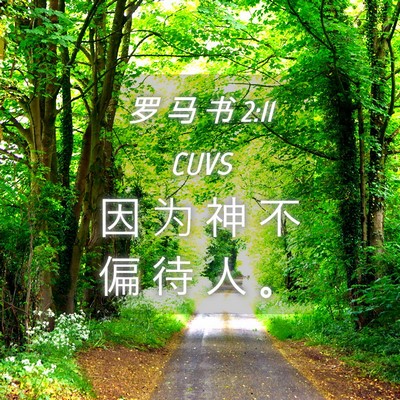 Picture 04 - 罗 马 书 2:11 CUVS - 因 为 神 不 偏 待 人 - Bible Verse Picture