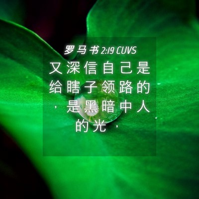 Picture 04 - 罗 马 书 2:19 CUVS - 又 深 信 自 己 是 给 瞎 子 领 路 的 - Bible Verse Picture