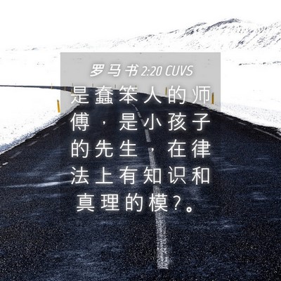 Picture 04 - 罗 马 书 2:20 CUVS - 是 蠢 笨 人 的 师 傅 ， 是 小 孩 子 - Bible Verse Picture