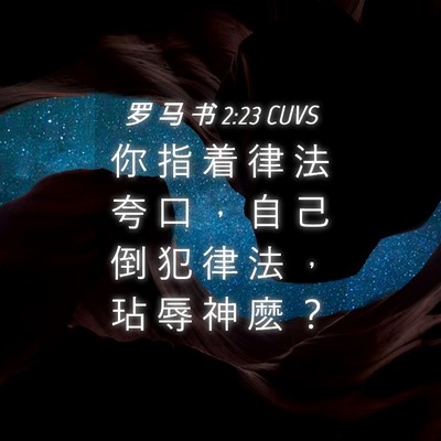 Picture 04 - 罗 马 书 2:23 CUVS - 你 指 着 律 法 夸 口 ， 自 己 倒 犯 - Bible Verse Picture