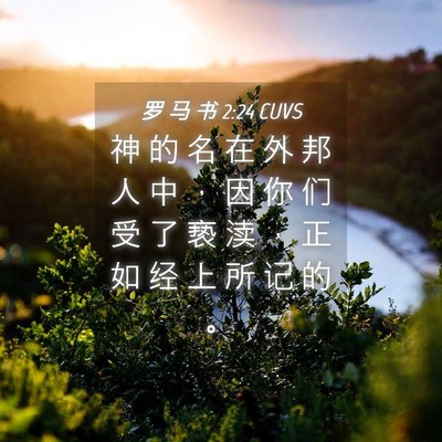 Picture 04 - 罗 马 书 2:24 CUVS - 神 的 名 在 外 邦 人 中 ， 因 你 们 - Bible Verse Picture