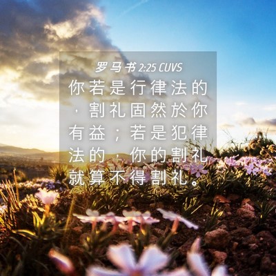 Picture 04 - 罗 马 书 2:25 CUVS - 你 若 是 行 律 法 的 ， 割 礼 固 然 - Bible Verse Picture