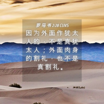 Picture 04 - 罗 马 书 2:28 CUVS - 因 为 外 面 作 犹 太 人 的 ， 不 是 - Bible Verse Picture